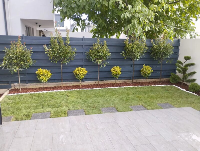 Ambiente Verde - Amenajari gradini, spatii verzi